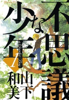 A Wonder Boy A Wonder Boy