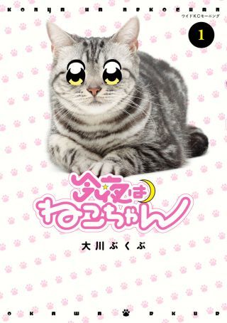 Konya wa Neko-chan