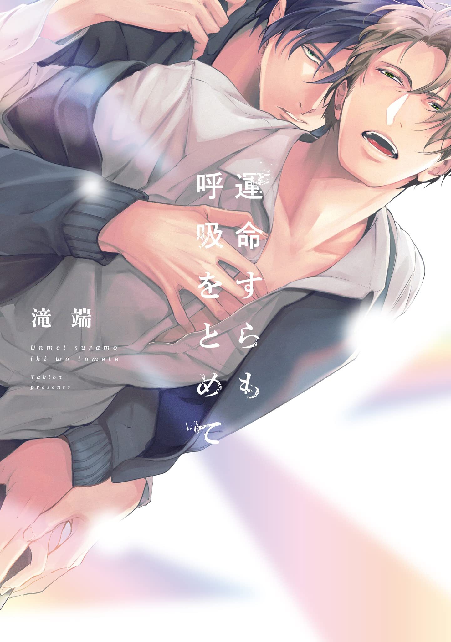 Unmei Sura mo Kokyuu wo Tomete Unmei Sura mo Kokyuu wo Tomete
